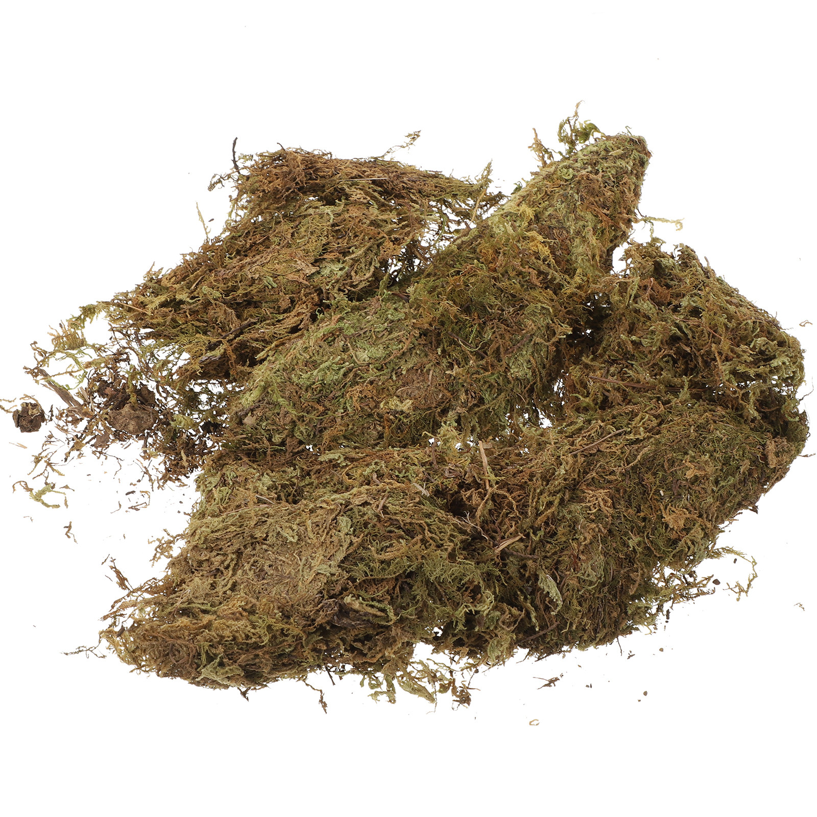 Preserved Moss Sheet - 2 Packs Dried Moss for Bonsai