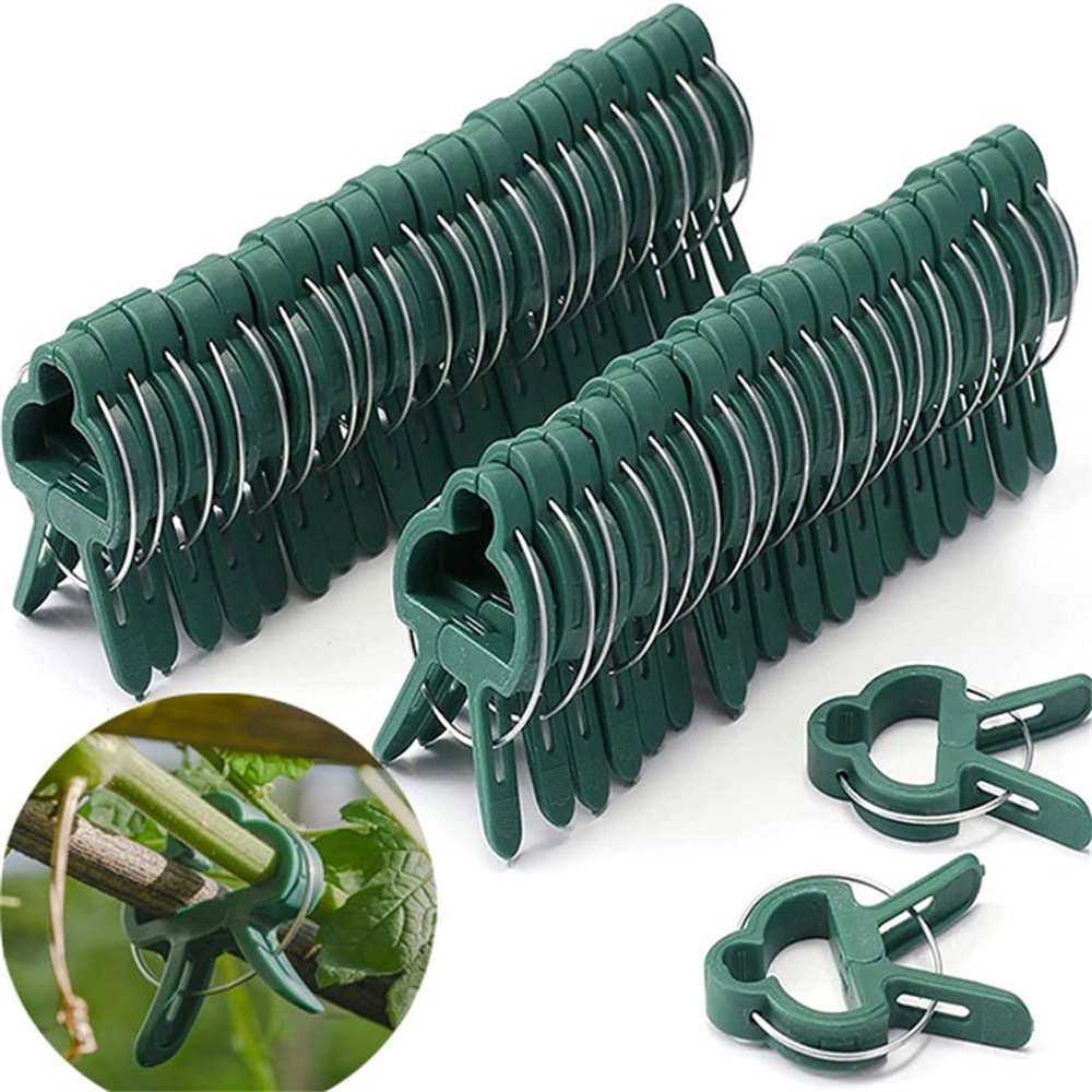Florist Supply Bulk - 20pcs/Set Plant Fixed Clips Adjusting Reusable