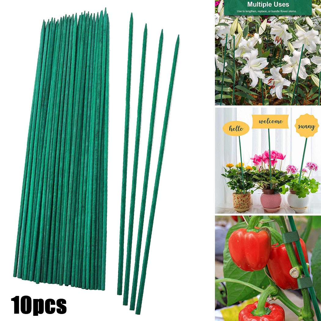 10pcs 40cm Green Plant Support - Florist Supp のレビューと価格
