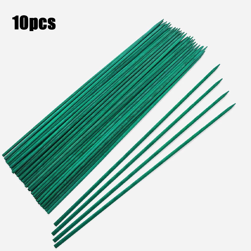10pcs 40cm Green Plant Support - Florist Supp のレビューと価格