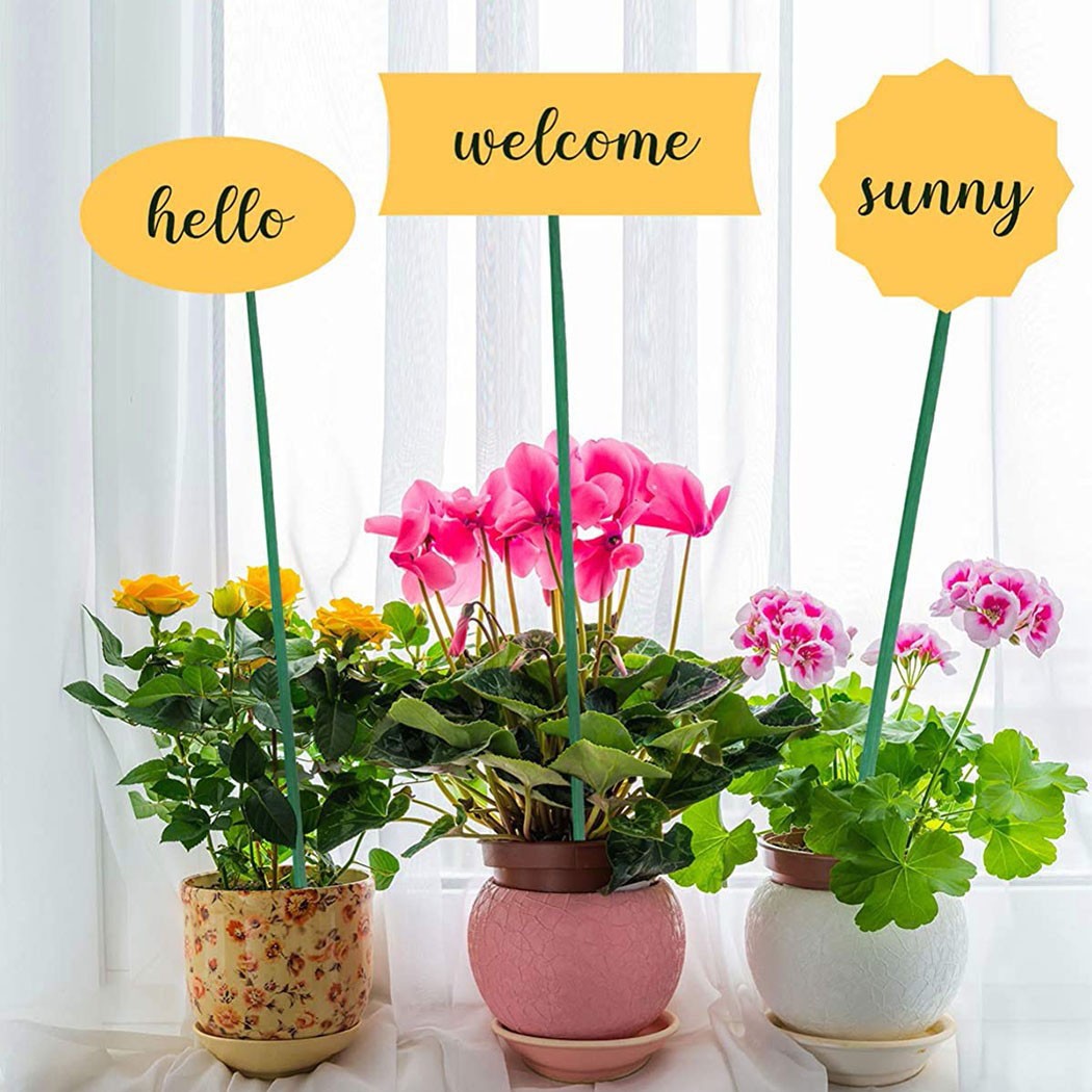 10pcs 40cm Green Plant Support - Florist Supp のレビューと価格
