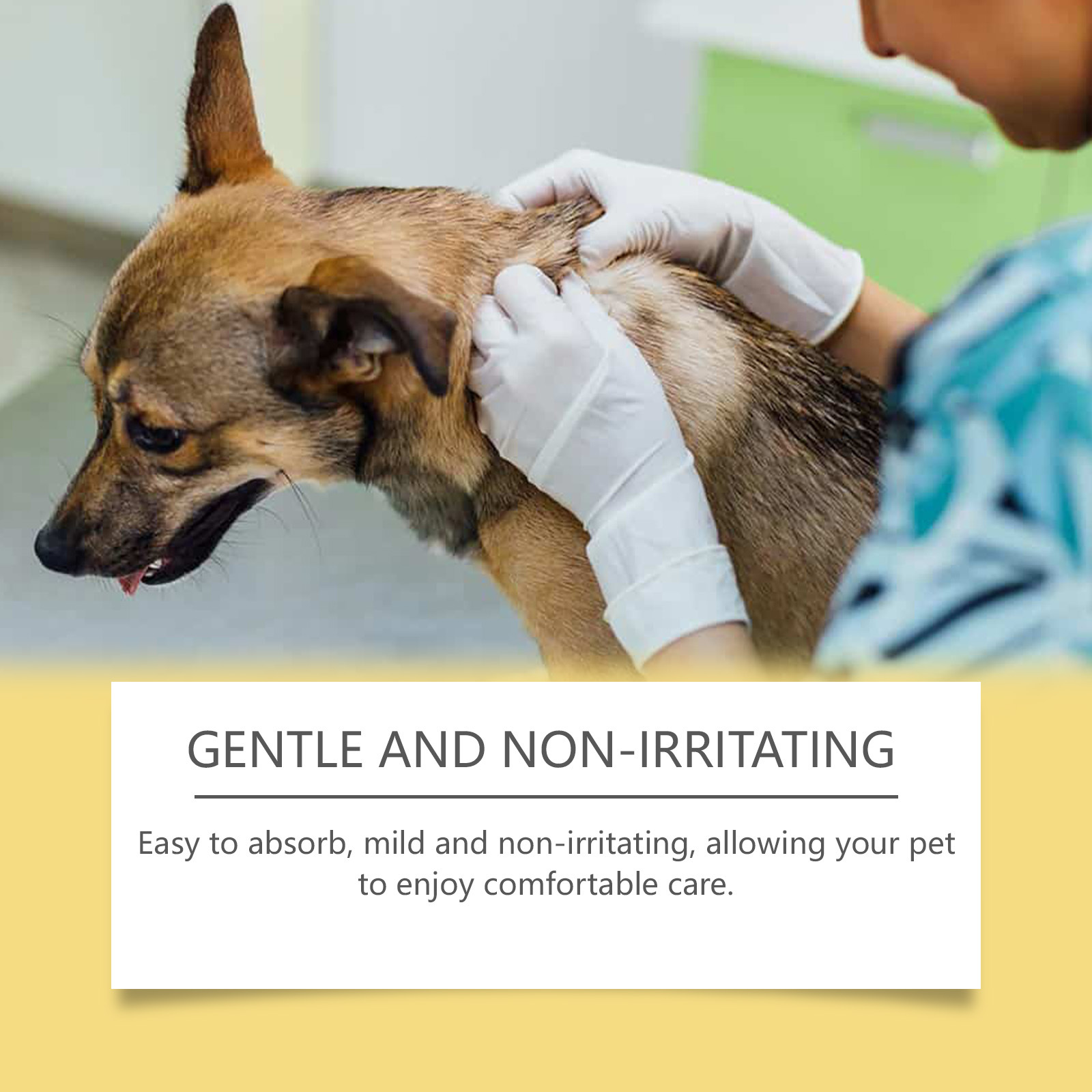 Pet Skin Care Spray Cat Dog Mo - Preserved Moss Sheet のレビューと価格