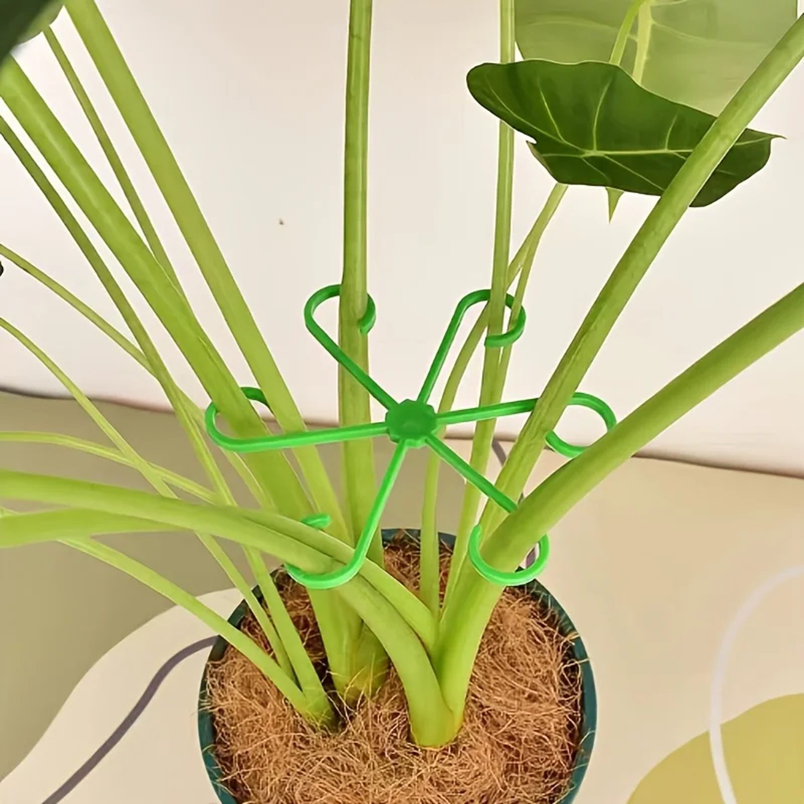 4pcs/set Plant Anti-Toppling S - Florist Supp のレビューと価格