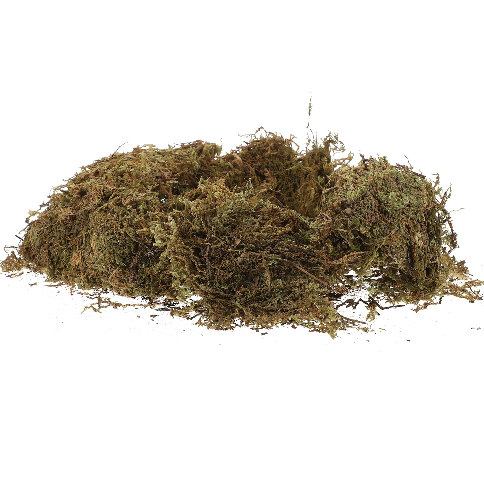 2 Packs Dried Moss for Bonsai  - Preserved Moss Sheet のレビューと価格