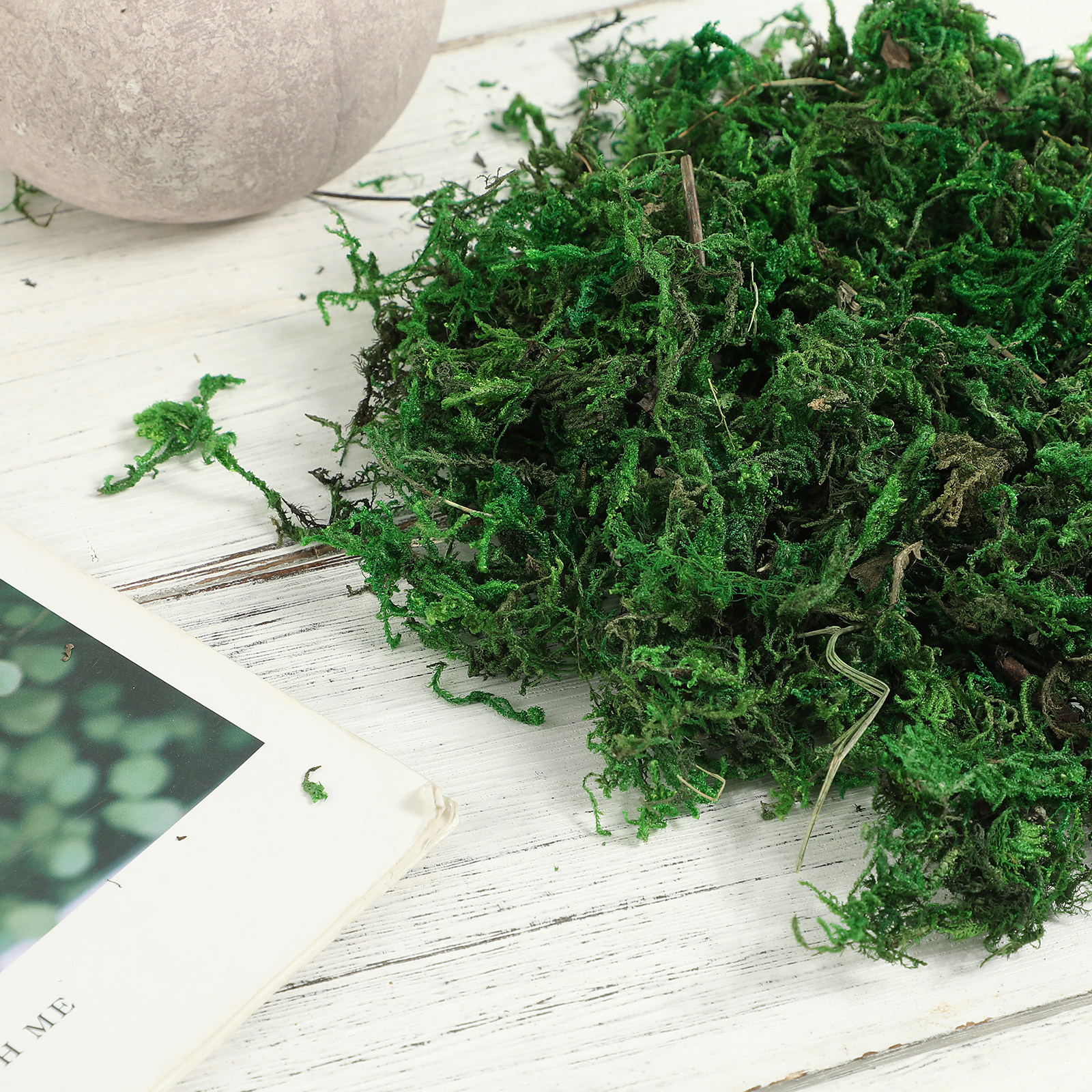 1Pack Natural Color Artificial - Preserved Moss Sheet のレビューと価格