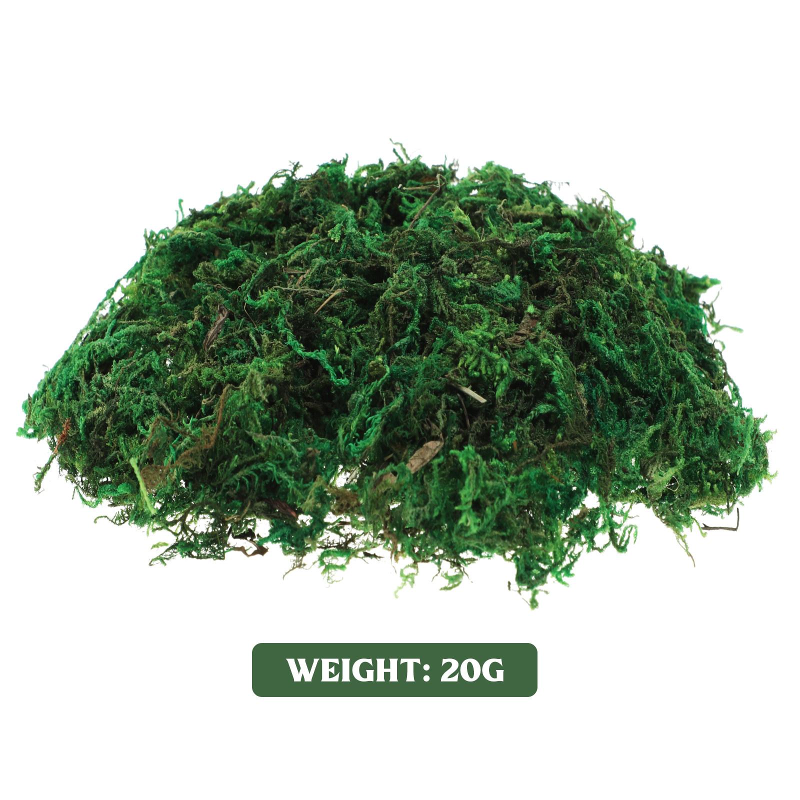 1Pack Natural Color Artificial - Preserved Moss Sheet のレビューと価格