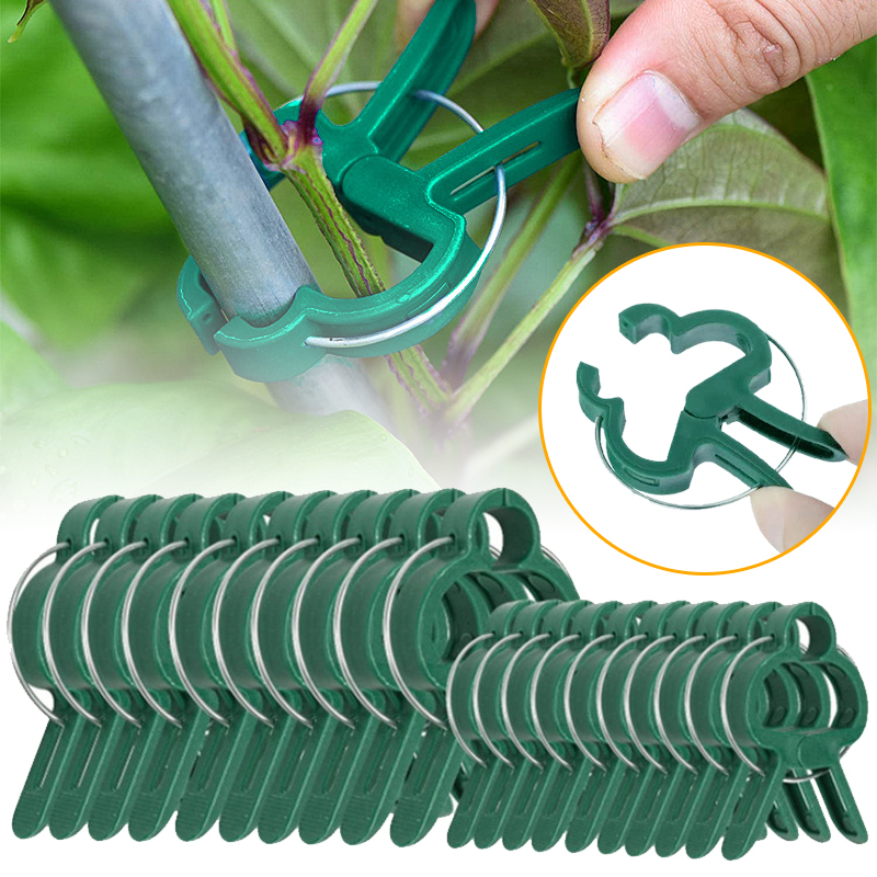 20Pcs Plant Fixed Clips Reusab - Florist Supply Bulk のレビューと価格