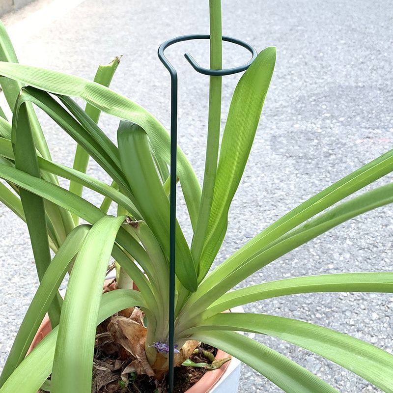 1-10pcs Metal Single Stem Plan - Florist Supp のレビューと価格