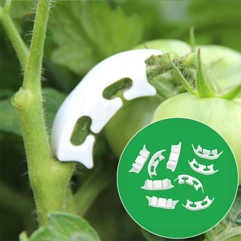 50/100pcs Botany-stem Vine Str - Florist Supply Bulk のレビューと価格