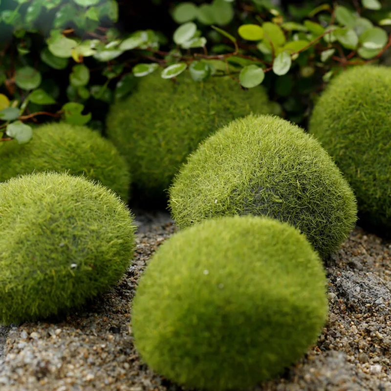 Artificial Moss Grass Micro La - Preserved Moss Sheet のレビューと価格