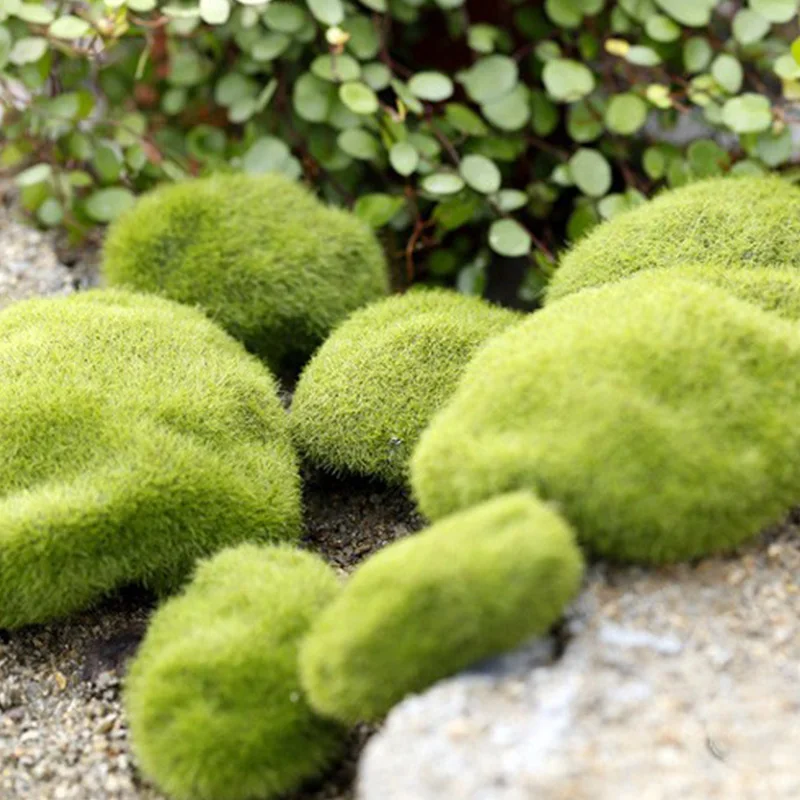 Artificial Moss Grass Micro La - Preserved Moss Sheet のレビューと価格