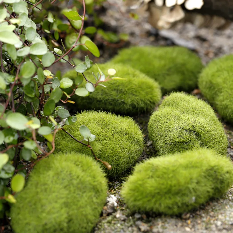 Artificial Moss Grass Micro La - Preserved Moss Sheet のレビューと価格