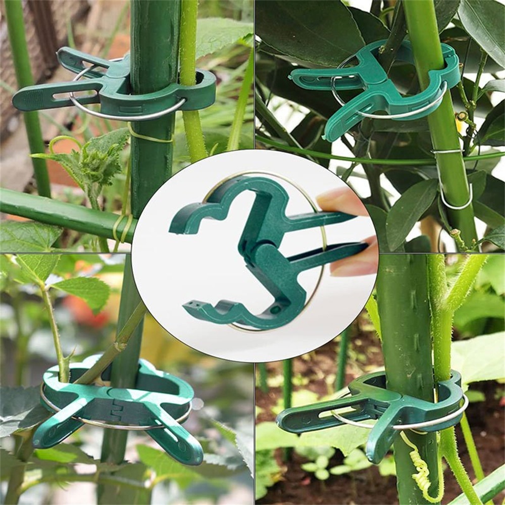 20pcs/Set Plant Fixed Clips Ad - Florist Supply Bulk のレビューと価格