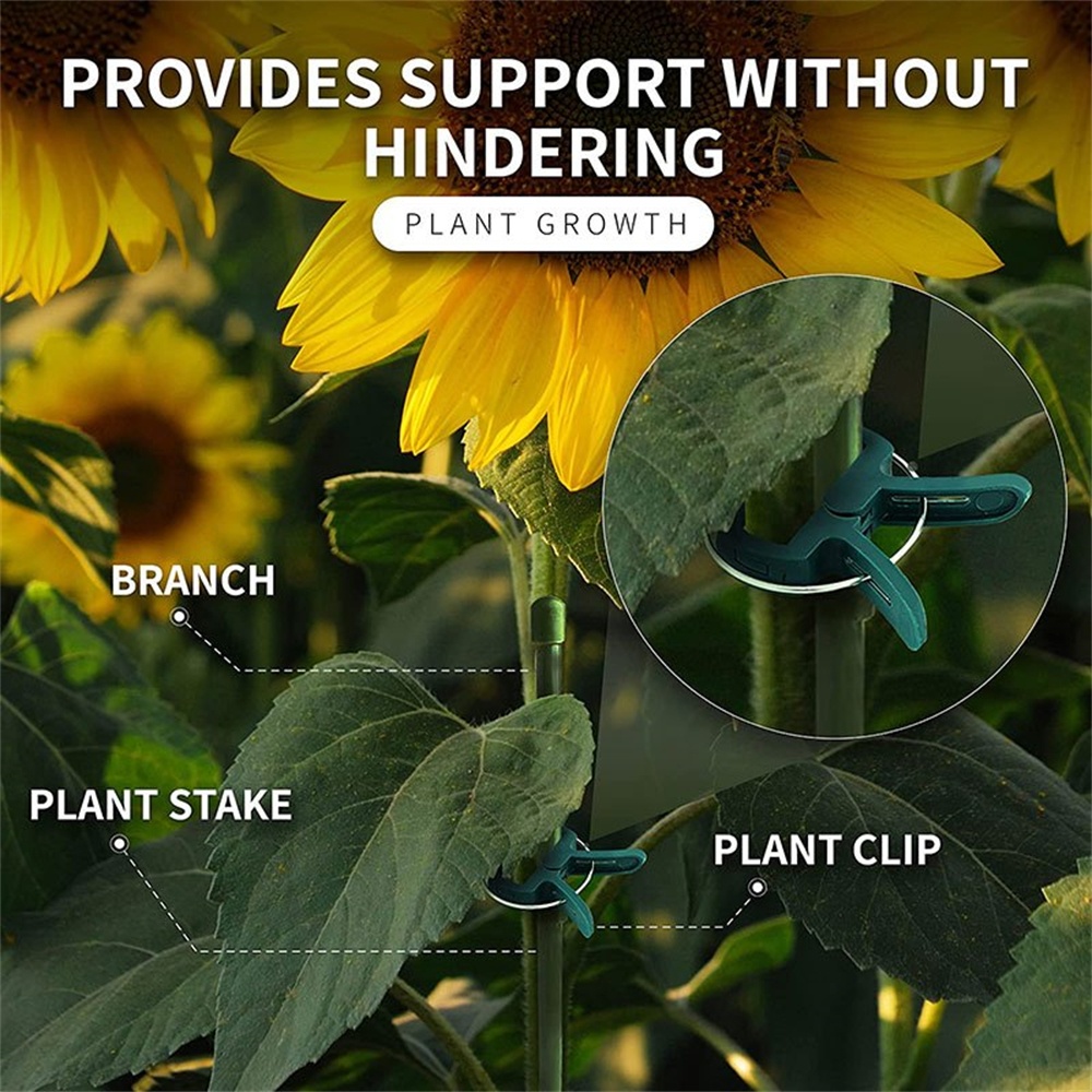 20pcs/Set Plant Fixed Clips Ad - Florist Supply Bulk のレビューと価格