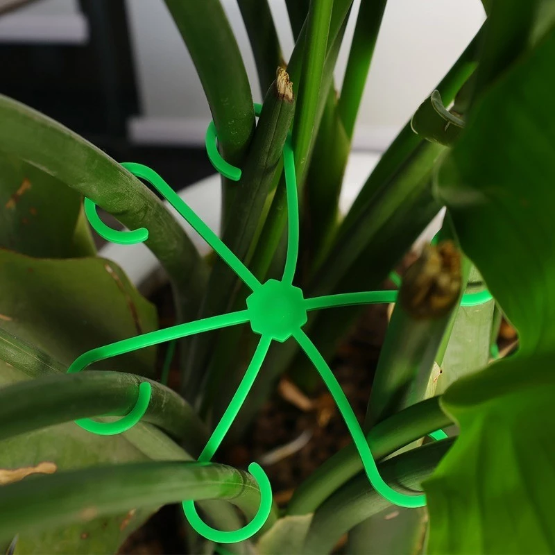 4pcs Plant Stem Support Clips  - Florist Supply Bulk のレビューと価格