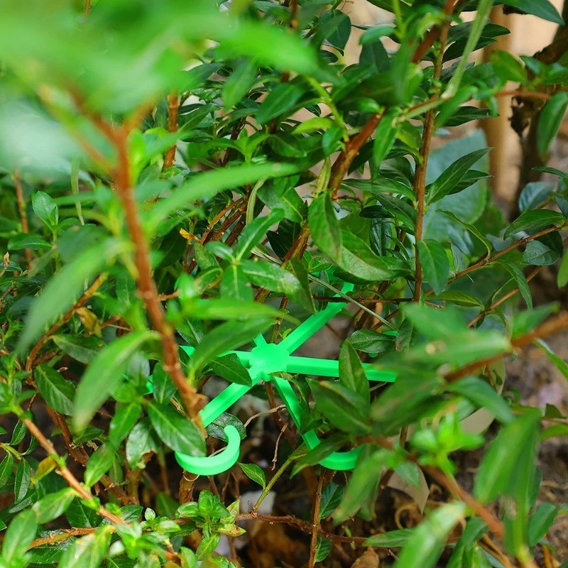 4pcs Plant Stem Support Clips  - Florist Supply Bulk のレビューと価格